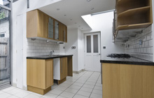 Meath Green kitchen extension leads